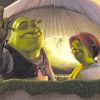 Shrek And His Wife Fiona adult paint by numbers