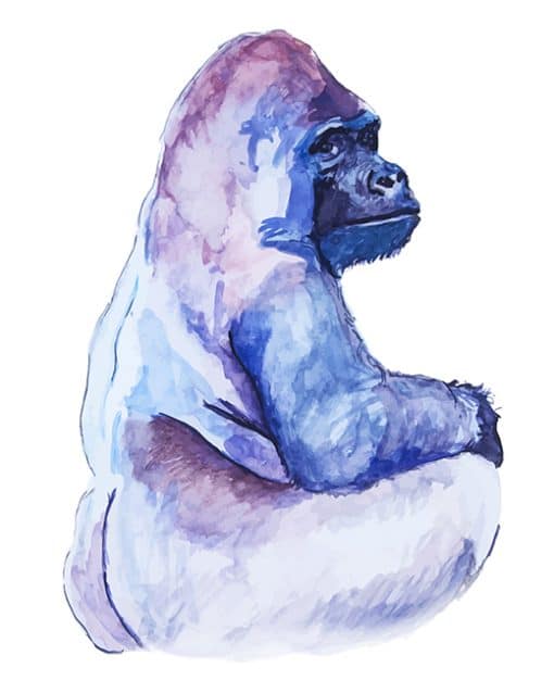 Silverback Gorilla adult paint by numbers