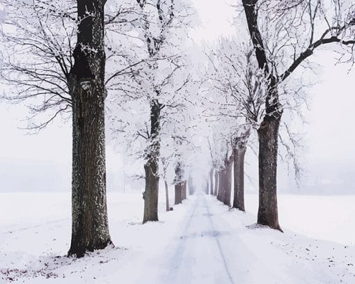 Snowy Pathway Surrounded By Trees paint by number