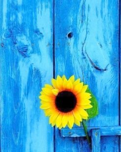 Sunflower with blue door adult paint by number