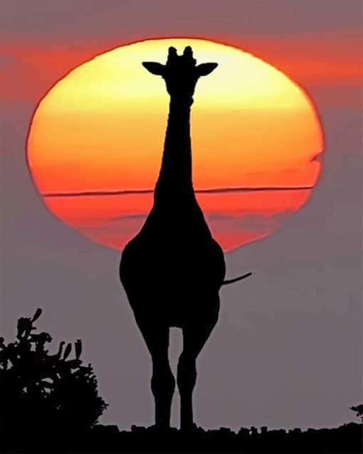 Sunset giraffe silhouette adult paint by numbers