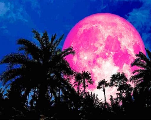 the full pink moon paint by numbers