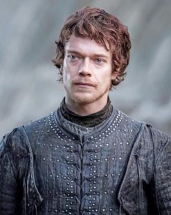 Theon Greyjoy GOT adult paint by numbers