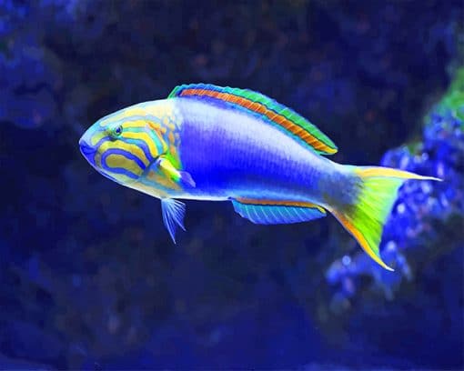 Tropical blue fish adult paint by numbers