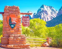 Zion National Park adult paint by numbers