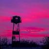 Aesthetic Pink Sky paint by number