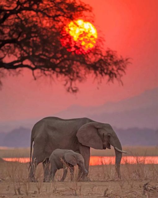 African Safari Elephant paint by number