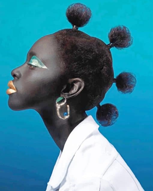 African Stylish Hair paint by number