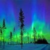 Arctic Aurora Landscape paint by number