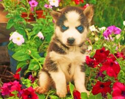 Baby Dogs Face Flowers paint by numbers