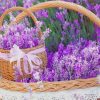 Basket Full Of Lavender Paint By Numbers