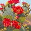 Beautiful Cactus Red Flowers Paint By Numbers