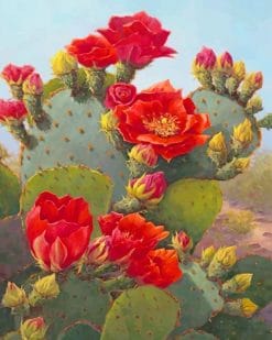 Beautiful Cactus Red Flowers Paint By Numbers