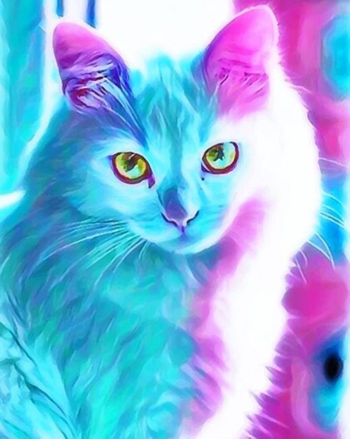 Beautiful Colorful Cat paint by numbers