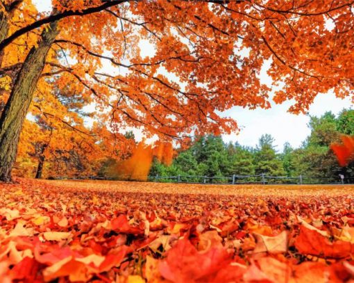 Beautiful Fall Leaves paint by number