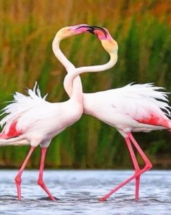 Beautiful Flamingos paint by numbers