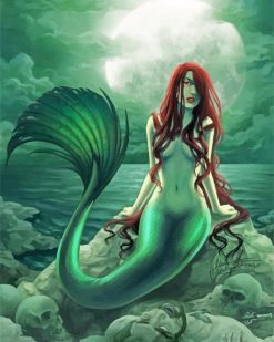 Beautiful Mermaid With Long Hair paint by number