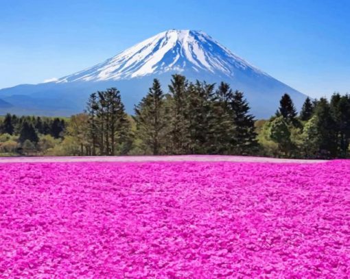 Beautiful Mountain Purple Flower Field Paint By Numbers