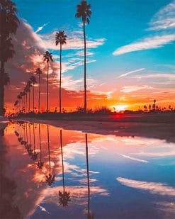 Beautiful Sunset Palm Spring paint by number