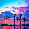 Beautiful Sunset View Palms paint by number