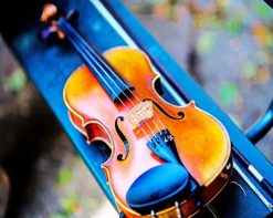 Beautiful Violin Photography paint by number