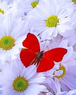 Beautiful White Flowers Red Butterfy paint by number