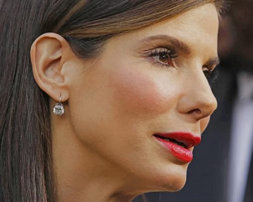 Best Actress Sandra Bullock paint by numbers