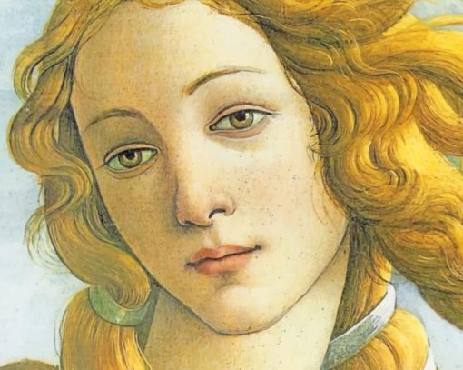 Birth Of Venus Botticelli Paint By Numbers