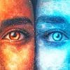 blue and orange eyes adult paint by numbers