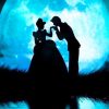 cinderella and prince charming moon adult paint by numbers