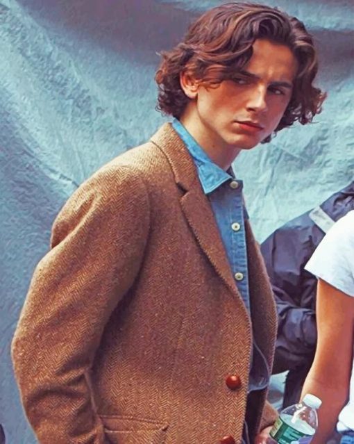 Classy Timothée Chalamet Paint By Numbers