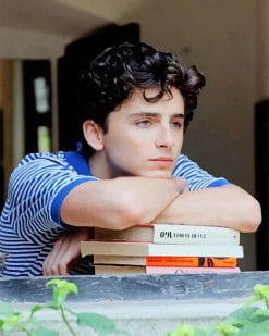 Classy Handsome Timothee Chalamet paint by number