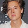 Cole Sprouse Curly Hair paint by numbers