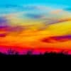 Colorful Sunset Trees Silhouette paint by number