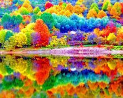 Colorful Trees Autumn paint by number