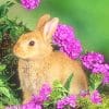 cute blonde bunny adult paint by numbers