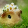 Cute Hamster With Flower Crown Paint By Numbers