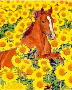 Cute Horse Sunflowers paint by number