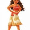 Disney Princess Moana paint by number