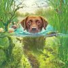 Dog In The Water Paint By numbers