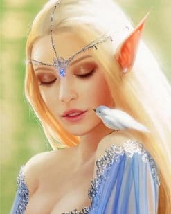 elf princess adult paint by numbers