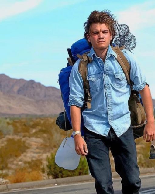 Emile Hirsch into The Wild paint by numbers