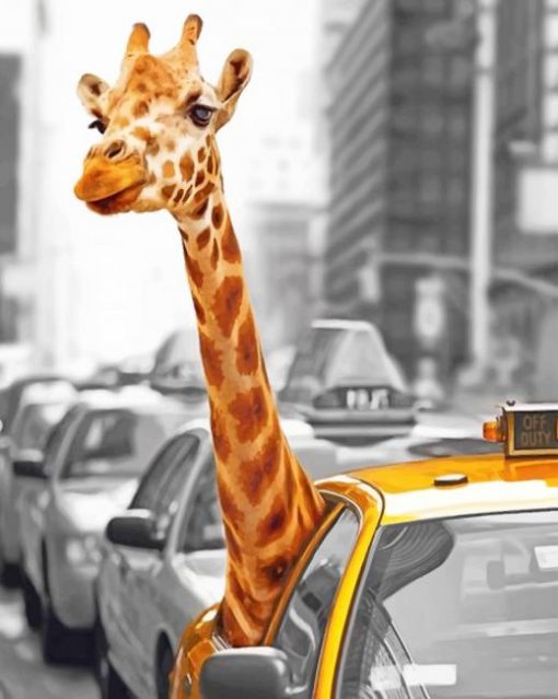 Giraffe Looking Through Taxi Window paint By Numbers