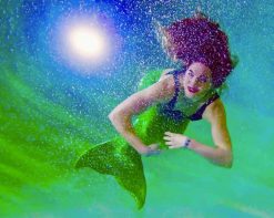 Girl Mermaid Cosplay paint by number