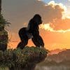 Big Gorilla Sunset paint by number