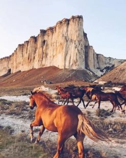 Horse In Desert paint by numbers