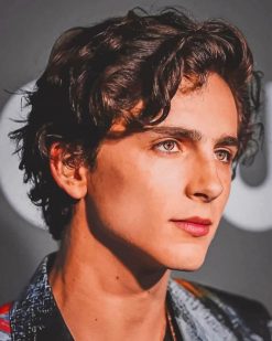 Hottie Chalamet Timothée Paint By Numbers