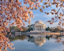 Jefferson Memorial Washington paint by number