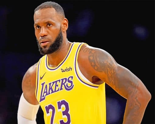 Lebron James paint by number