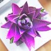 lovely purple succulent adult paint by numbers